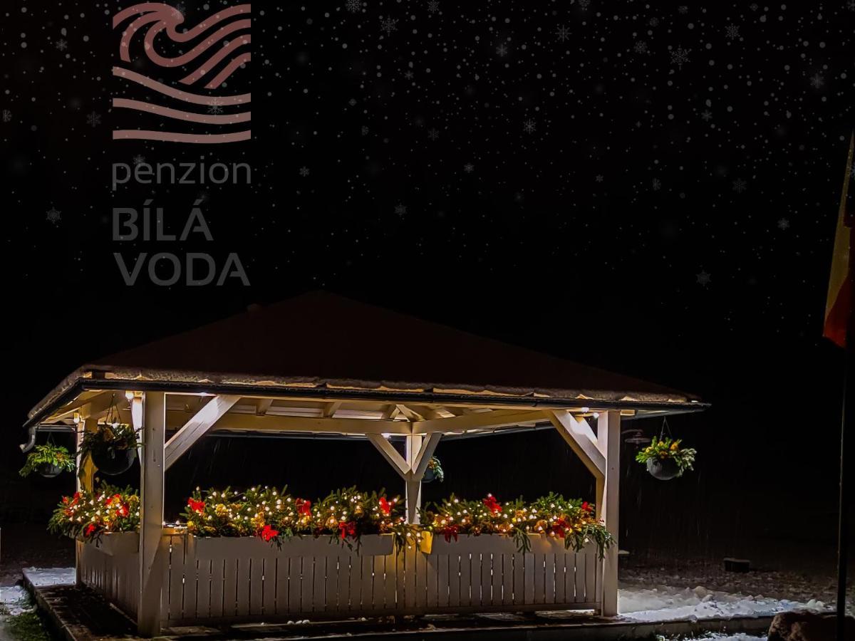 Penzion Bila Voda Harrachov Extérieur photo