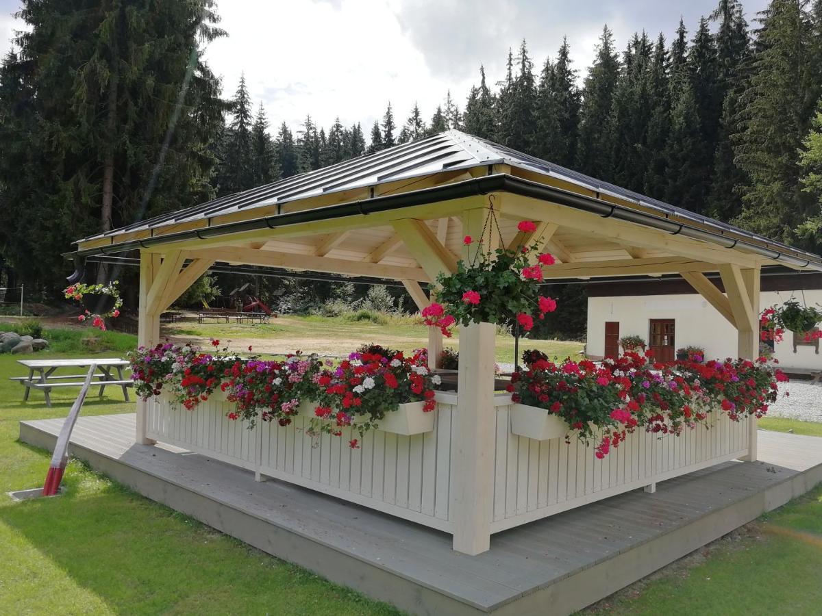 Penzion Bila Voda Harrachov Extérieur photo