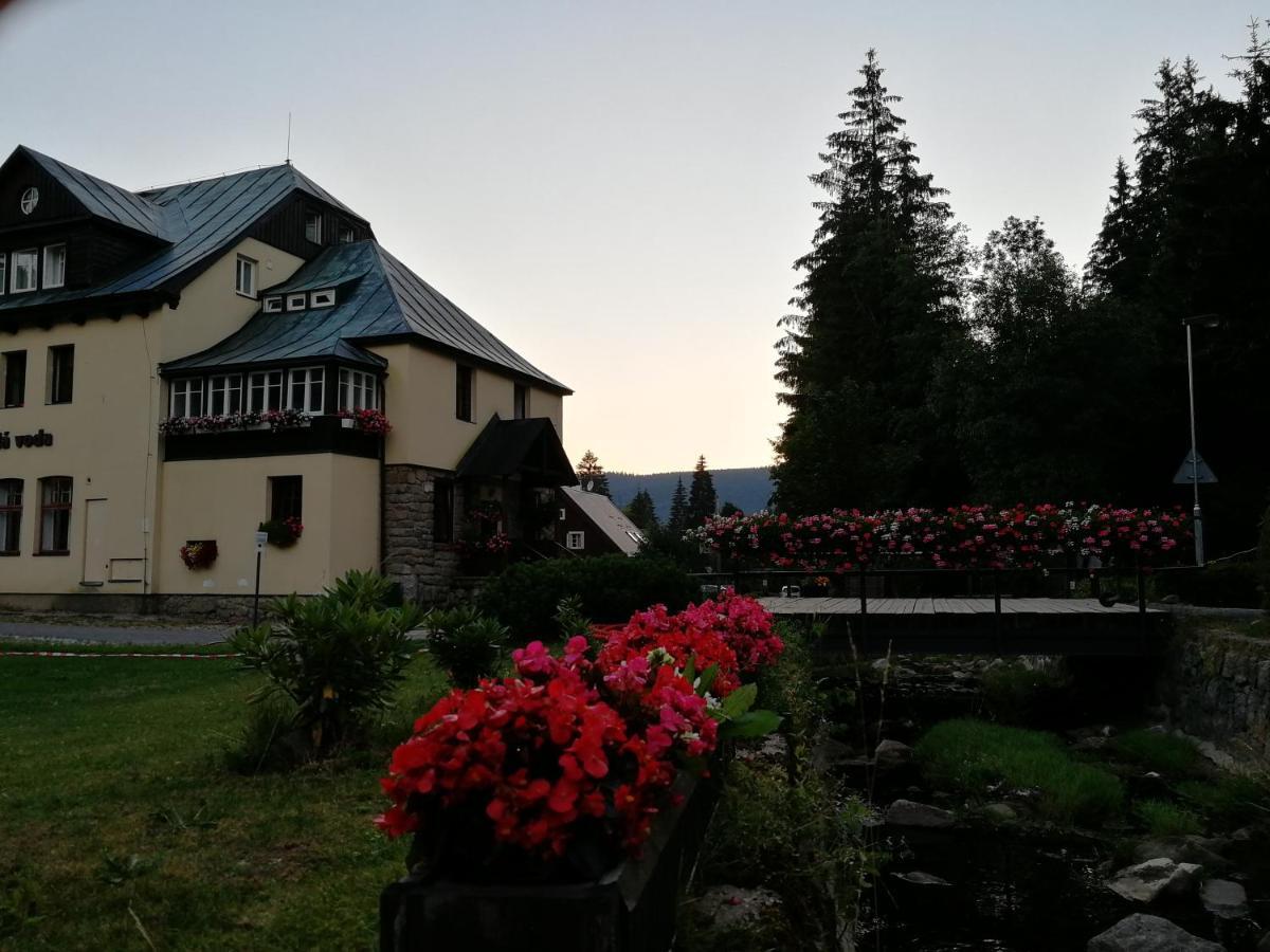 Penzion Bila Voda Harrachov Extérieur photo