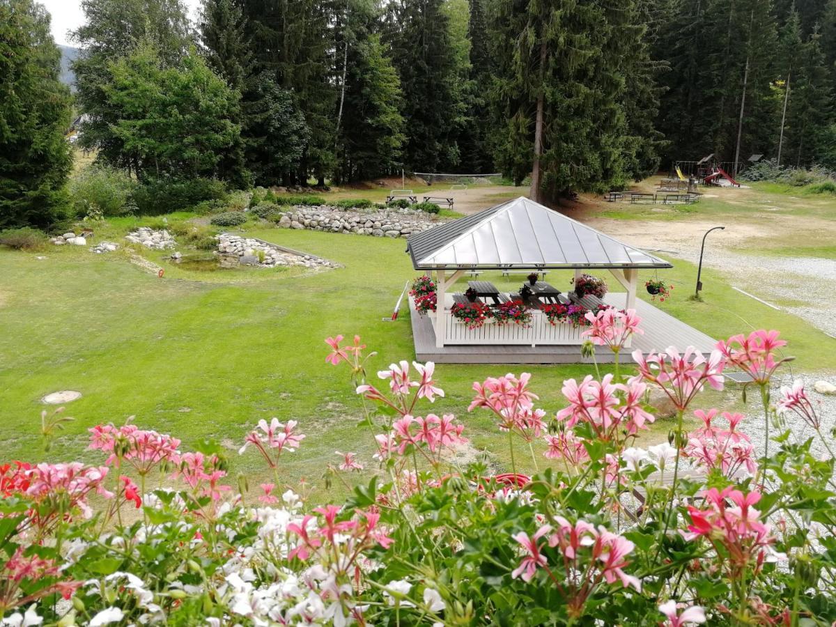 Penzion Bila Voda Harrachov Extérieur photo