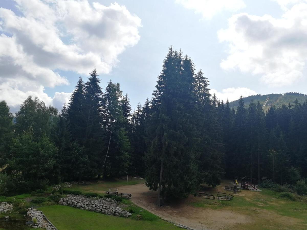 Penzion Bila Voda Harrachov Extérieur photo